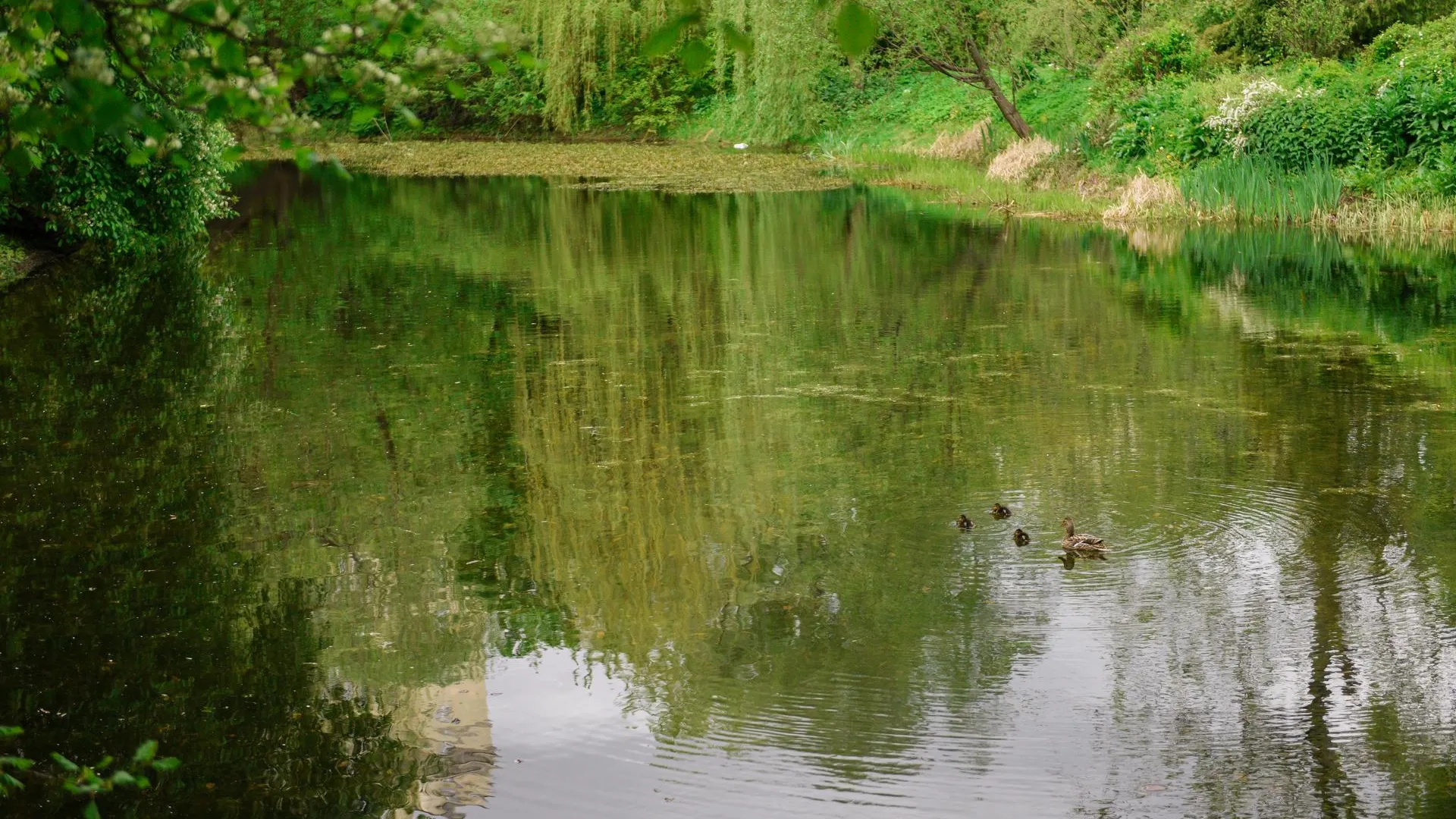Фото: Комитет по конкурентной политике Московской области