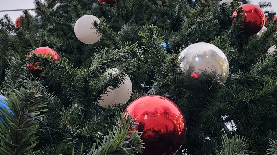 Фото: МедиаБанк Подмосковья/Валерия Исаева