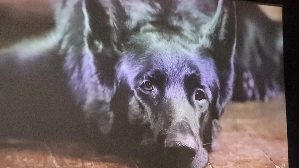 Фото: Михаил Раскин