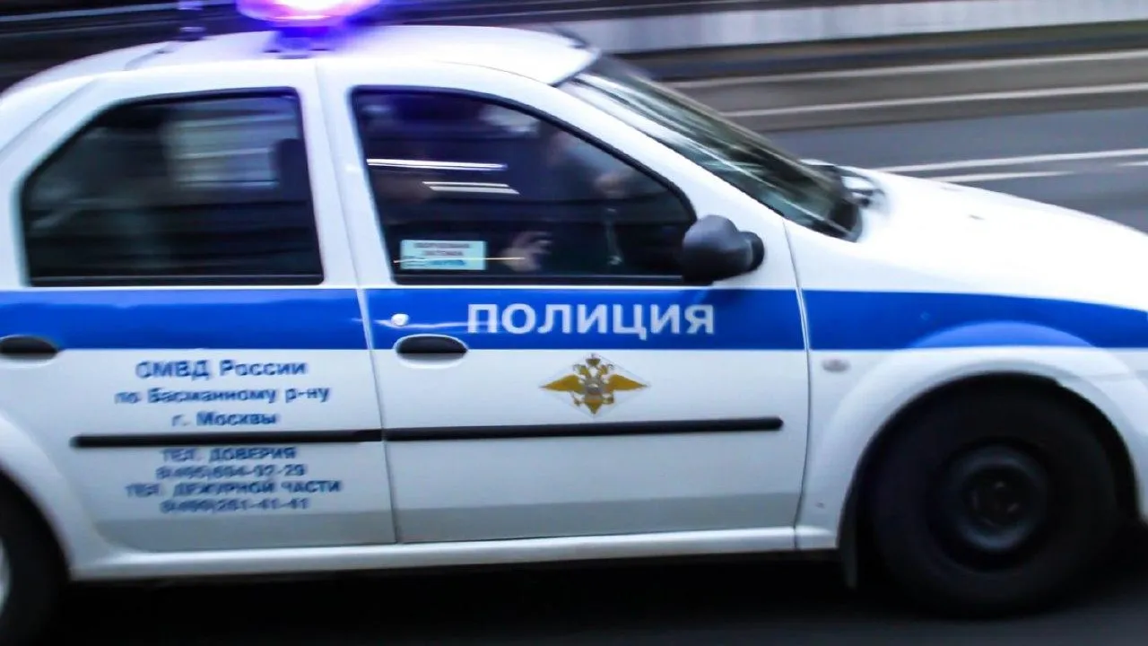 Фото: Илья Тушев / "Вести Подмосковья"