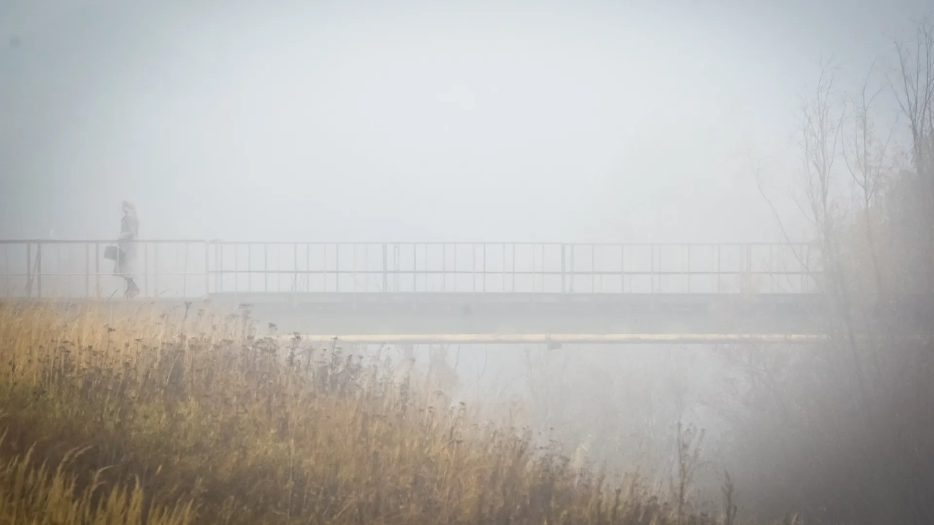 Владимир Лебедев