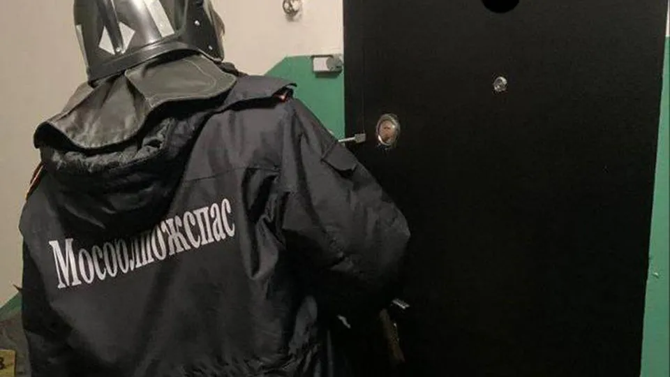 Фото: ГКУ МО «Мособлпожспас»