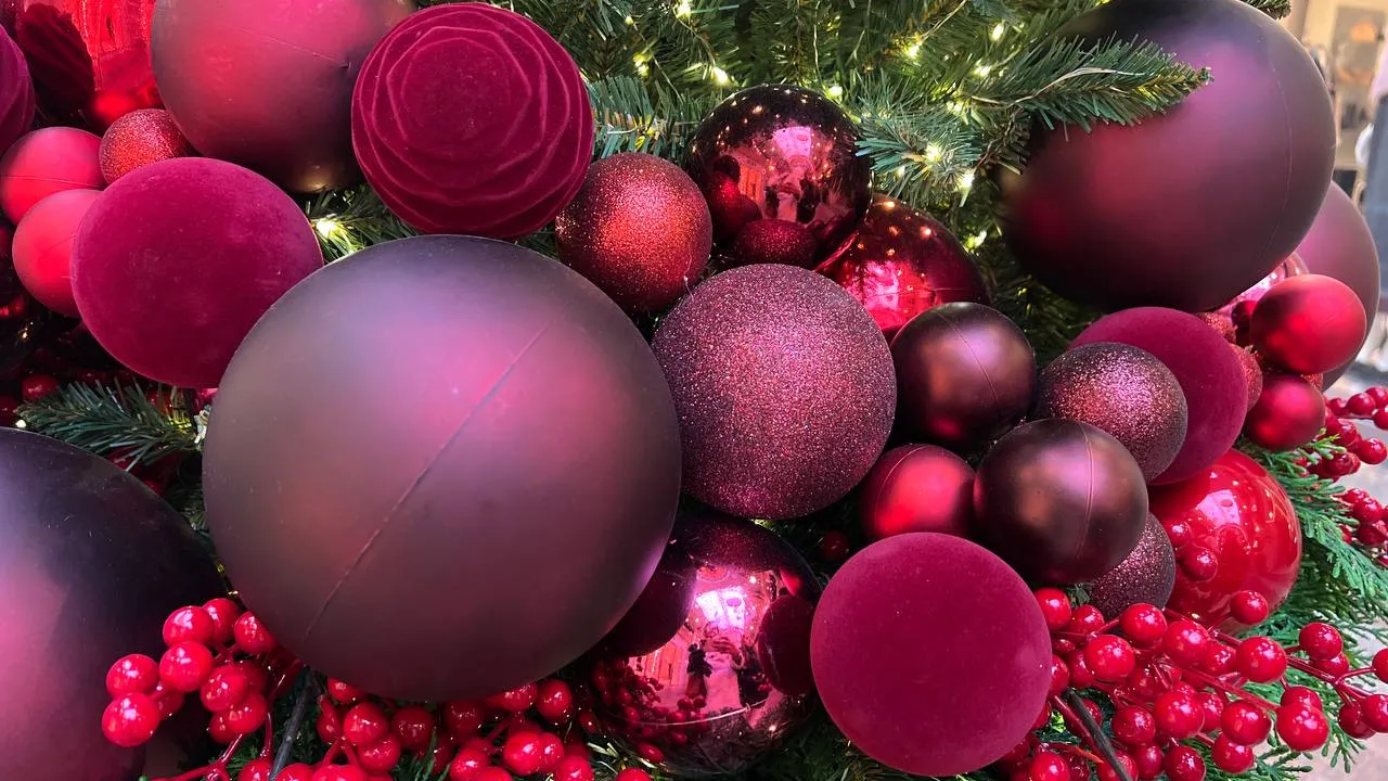 Фото: REGIONS/Елена Фурман