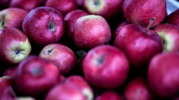 Врач-диетолог назвала яблоки лучшим продуктом для профилактики онкологии