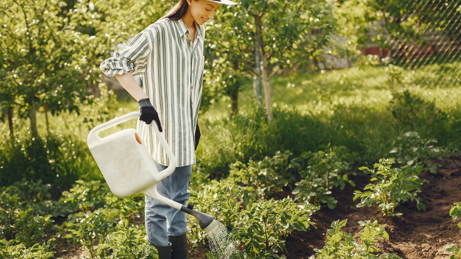 Фото: freepik.com