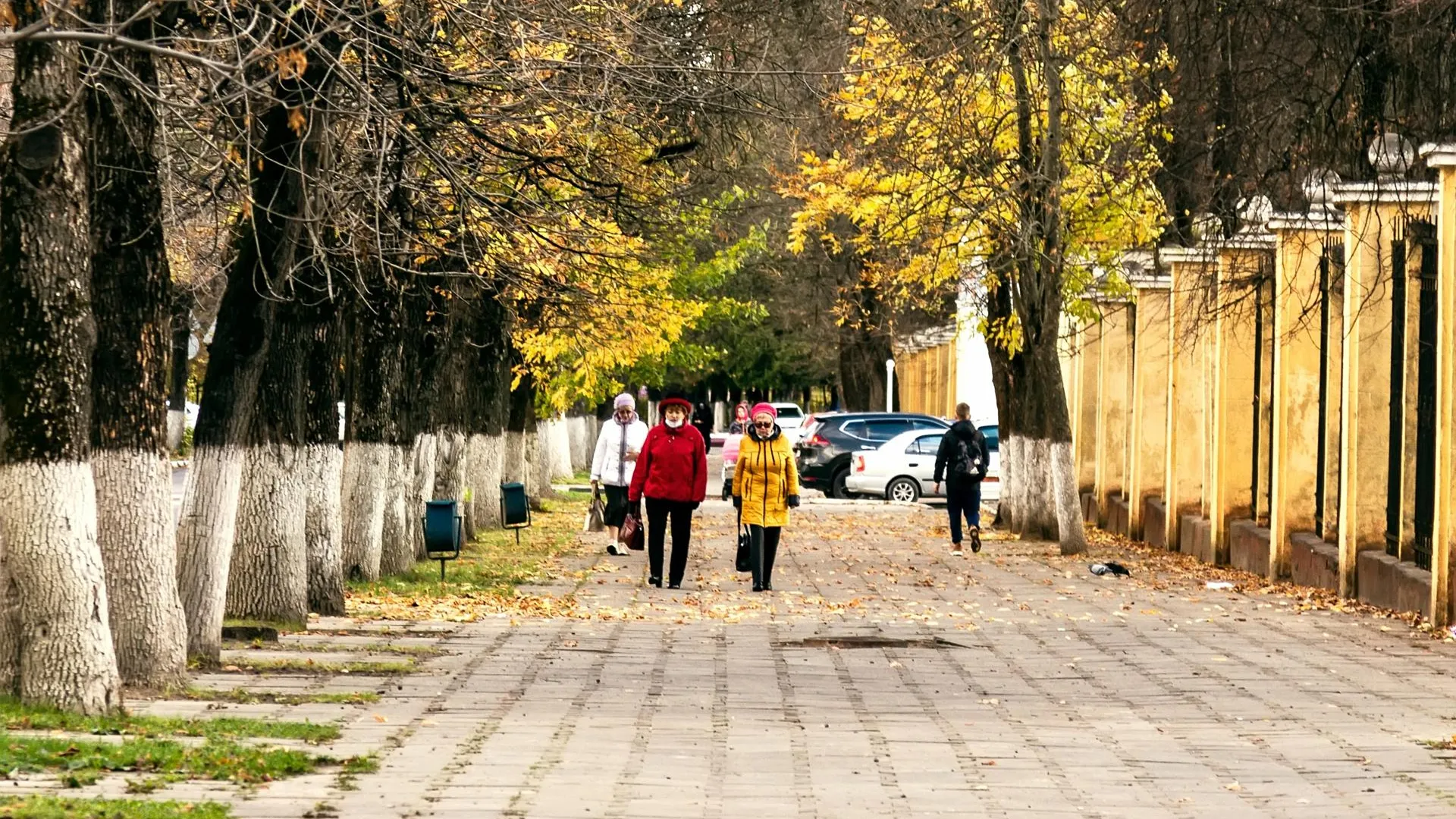Фото: Антон Кондратюк