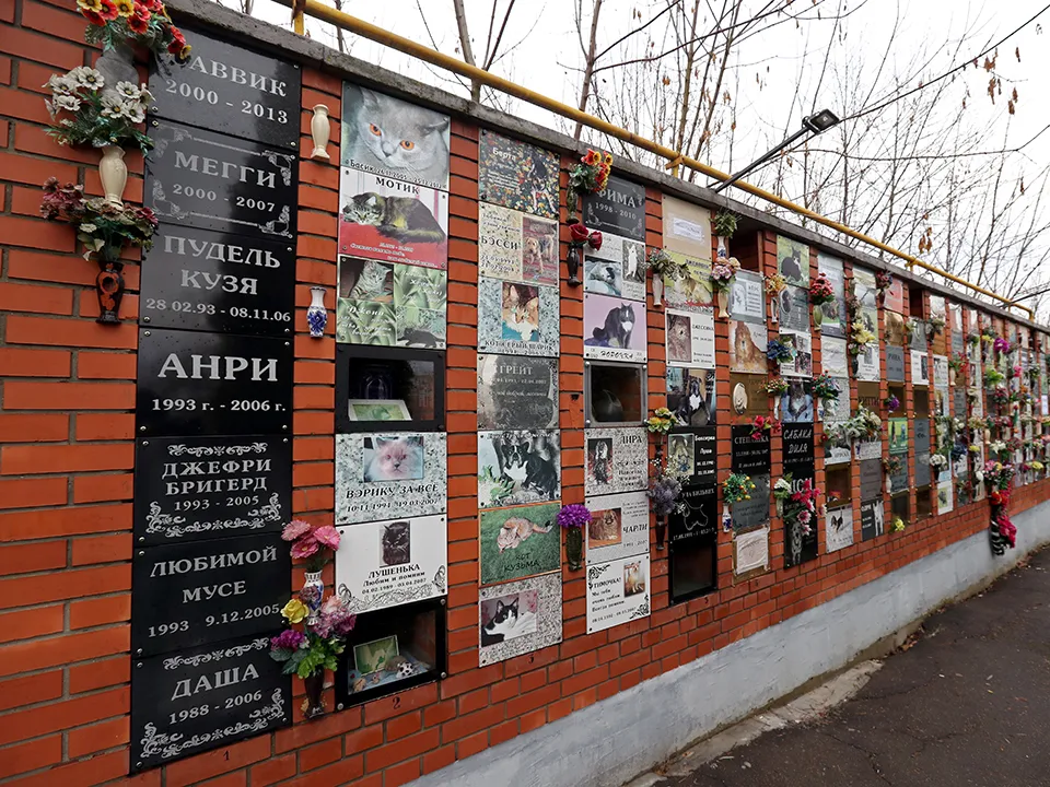 Фото: ТАСС/Вячеслав Прокофьев