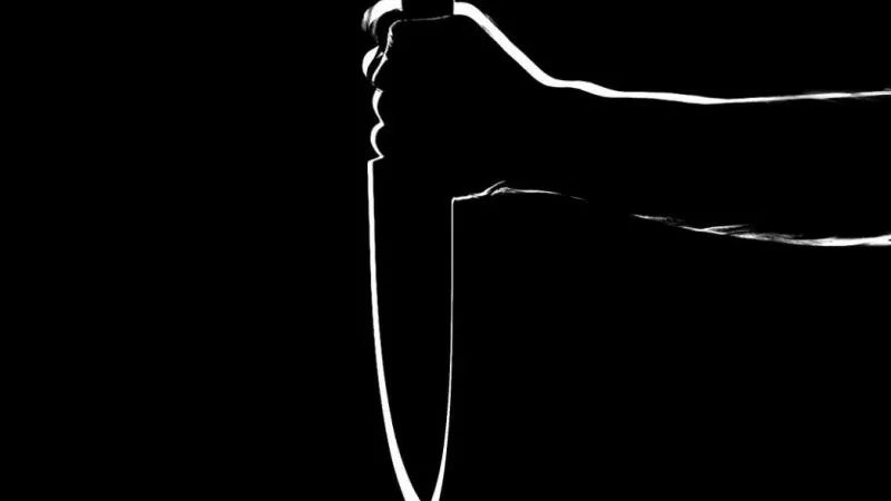 В Ленобласти во время распития спиртных напитков был ранен местный житель