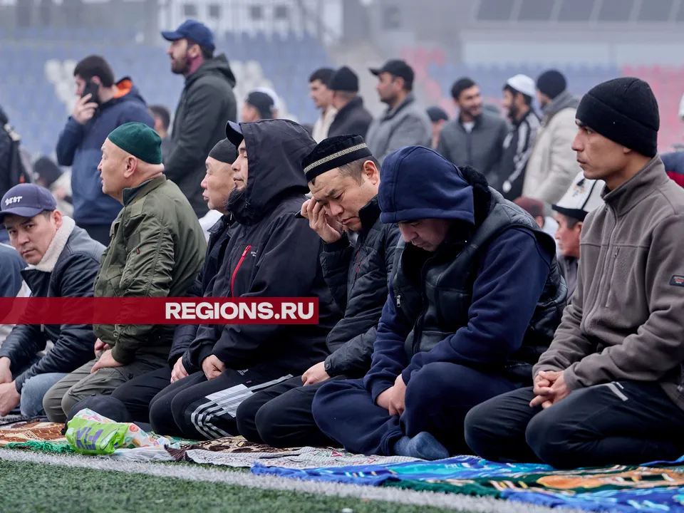 Фото: REGIONS/Дмитрий Белицкий