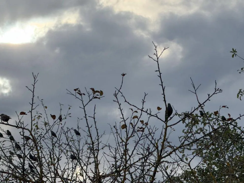 Резкое потепление до +14: синоптик раскрыл прогноз погоды для Москвы и Подмосковья на ближайшие дни