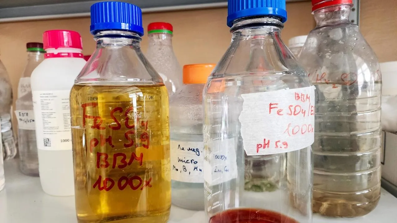 REGIONS/Мария Панина