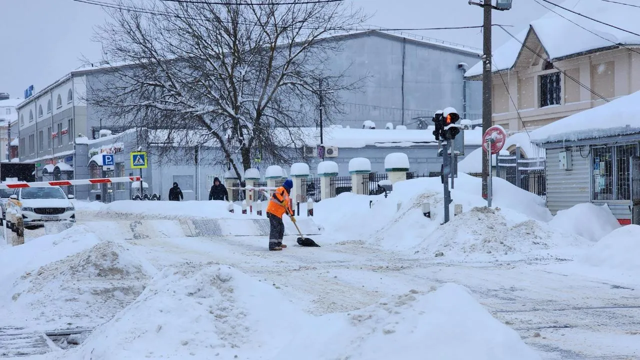 Елена Шумакова
