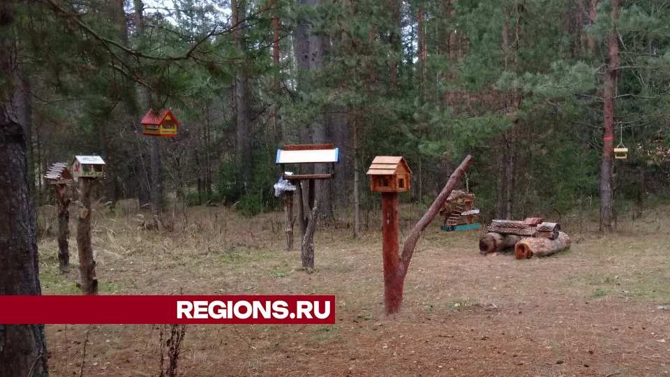 Фото: REGIONS/Василий Тремасов