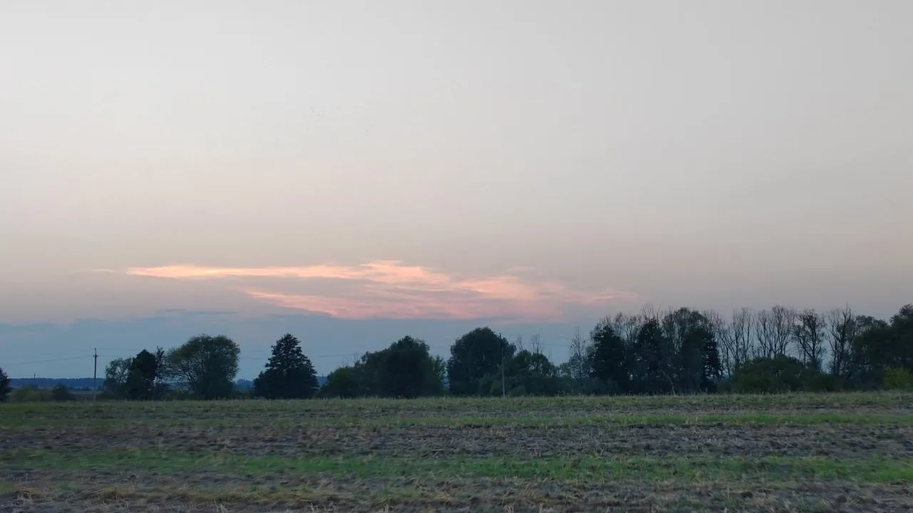 Фото: Евгений Мазепов