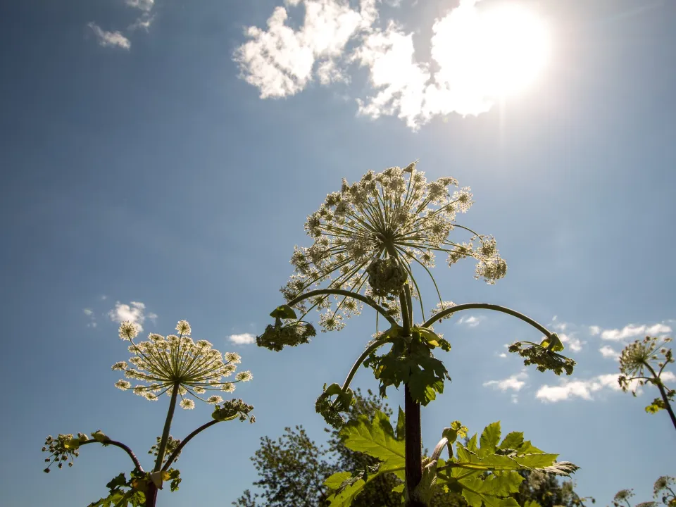 Фото: МедиаБанк Подмосковья/Евгений Корнилов&nbsp;