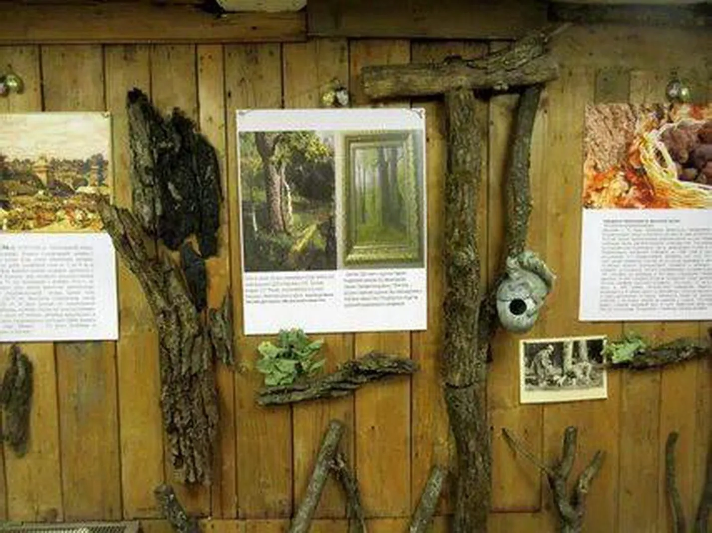 Фото: Галина Рязанова