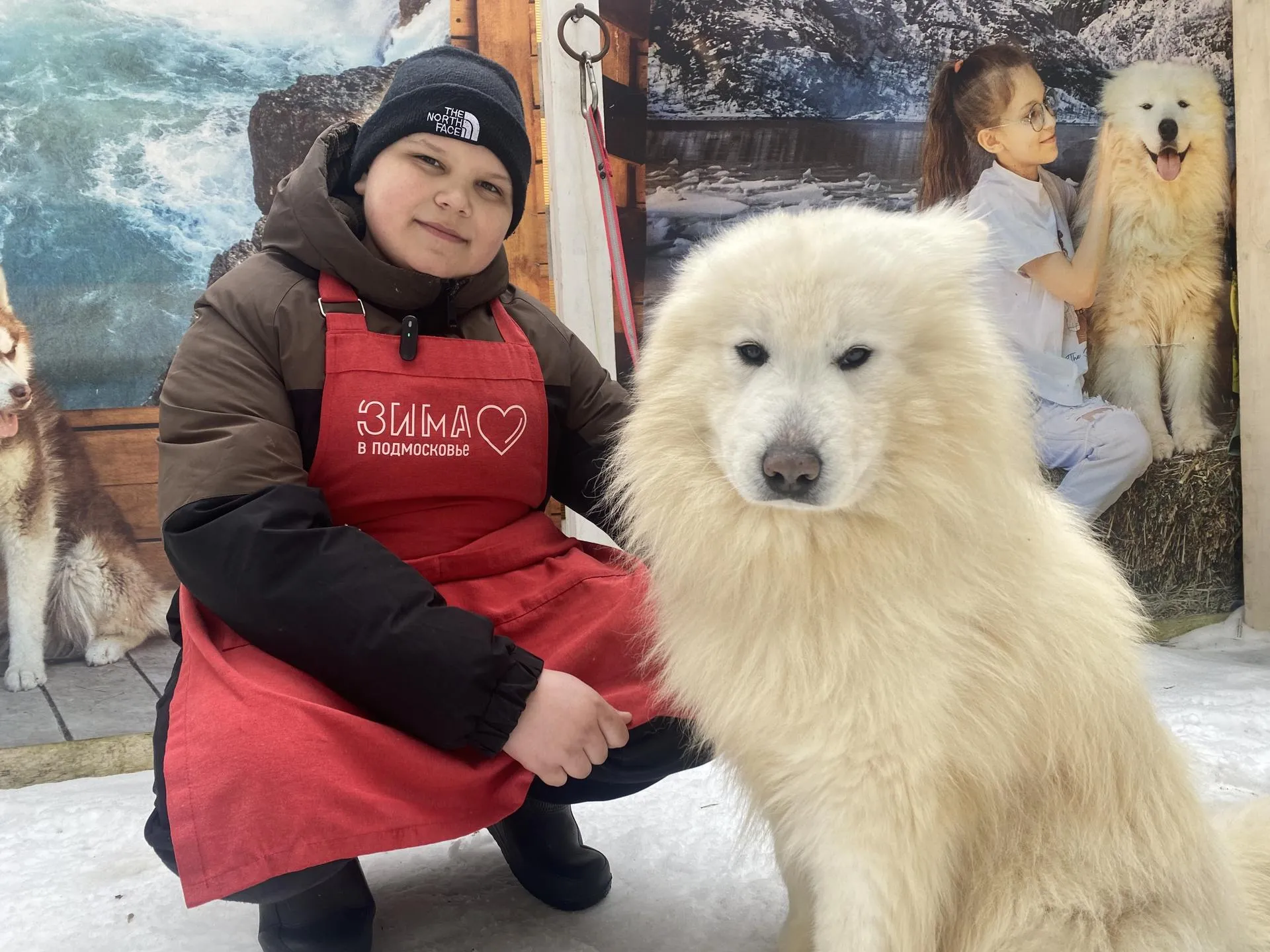МедиаБанк Подмосковья/Анастасия Сараева