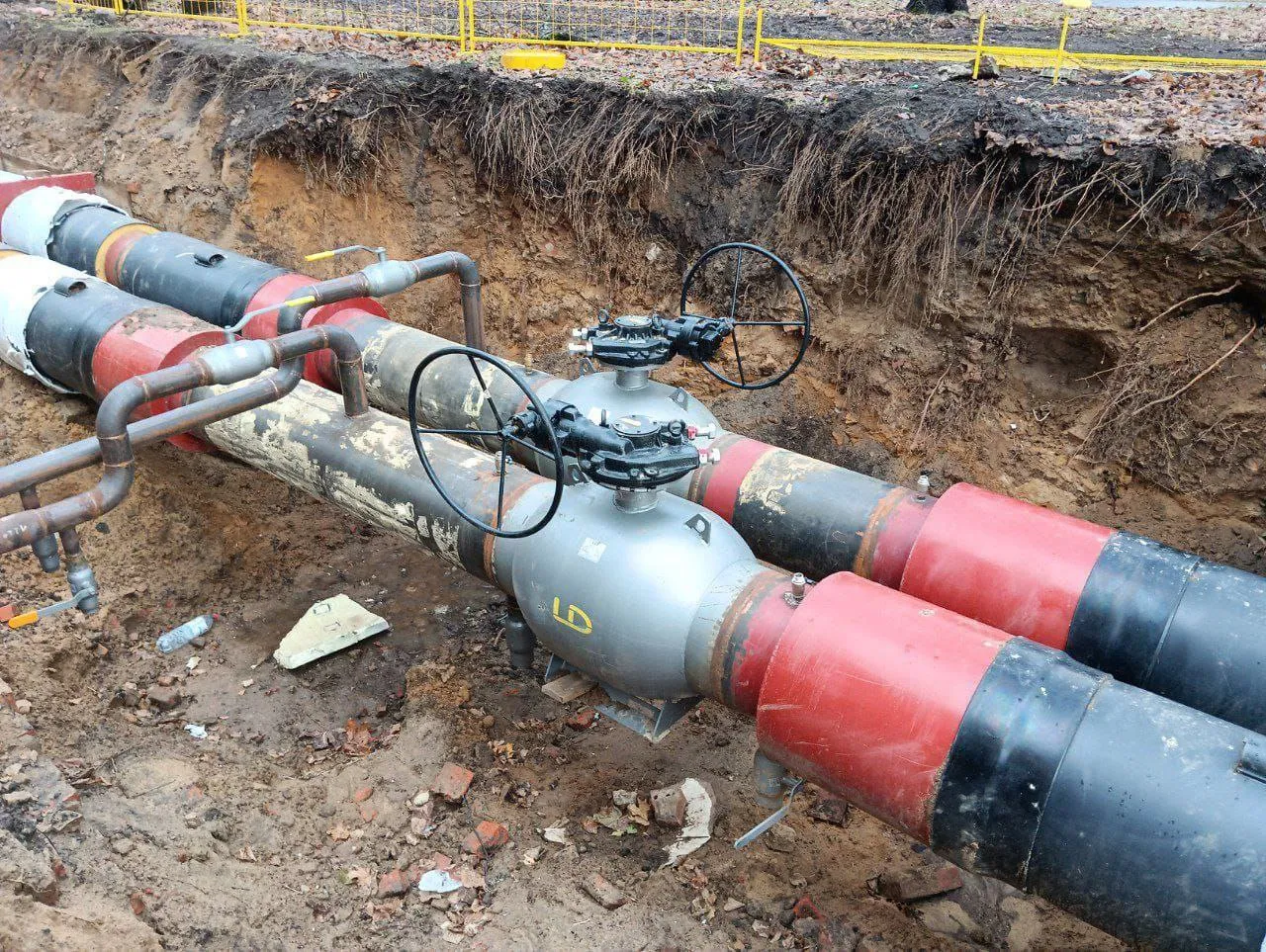 Фото: REGIONS/Иван Петрушин