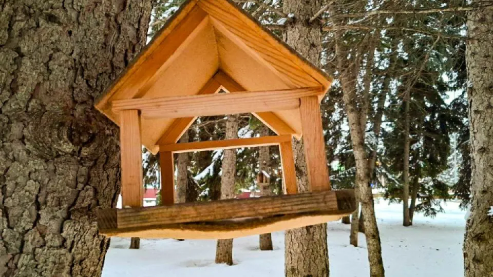 Фото: REGIONS/Юлия Габбасова