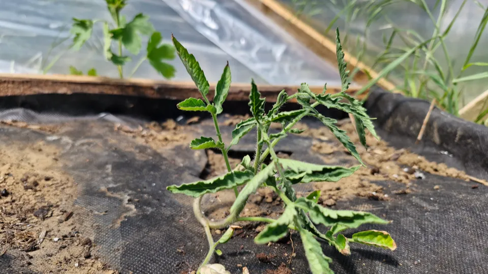 Фото: REGIONS/Наталия Надточая