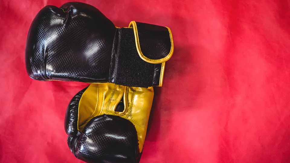 Фото: freepik.com