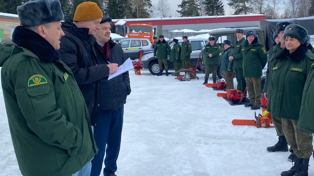 Фото: пресс-служба Комитета лесного хозяйства Московской области
