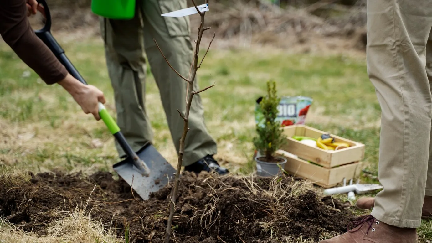 Фото: freepik.com