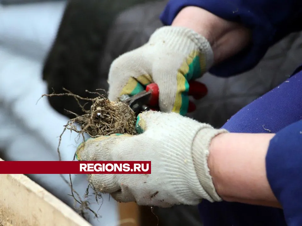 Фото: Максим Лысов