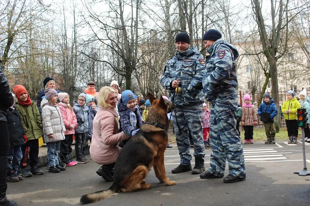 Фото: УМВД России «Серпуховское»