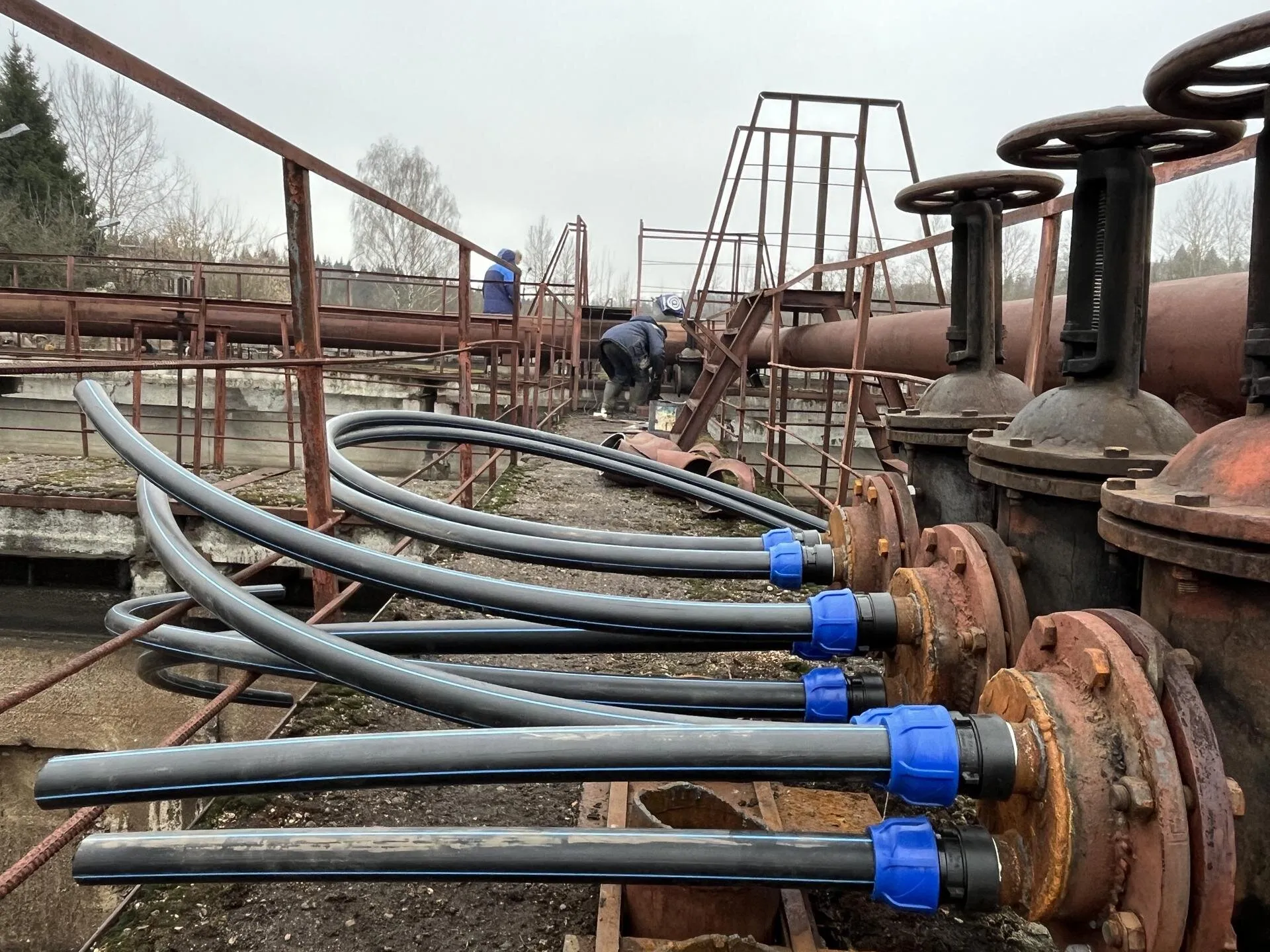 Фото: Анна Тюрюмина&nbsp; &nbsp; &nbsp; &nbsp; &nbsp;