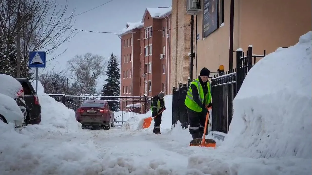МедиаБанк Подмосковья/Ольга Антонова