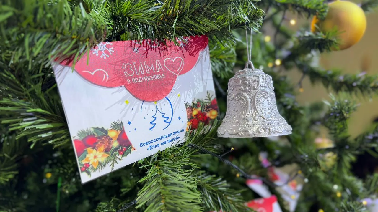 Фото: МедиаБанк Подмосковья/Ксения Афонина