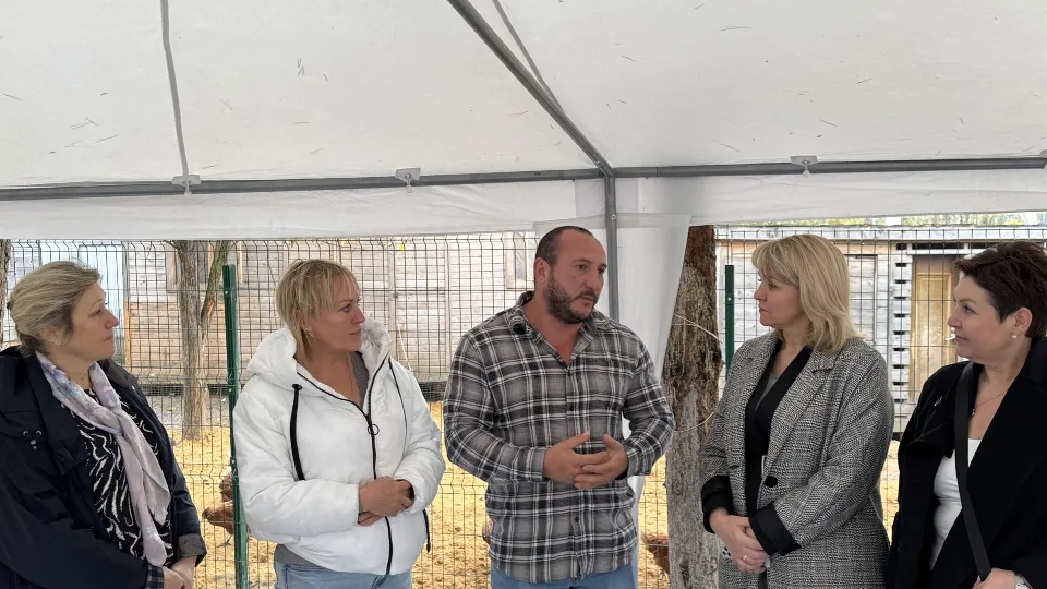 Фото: пресс-служба администрации Можайского м.о.