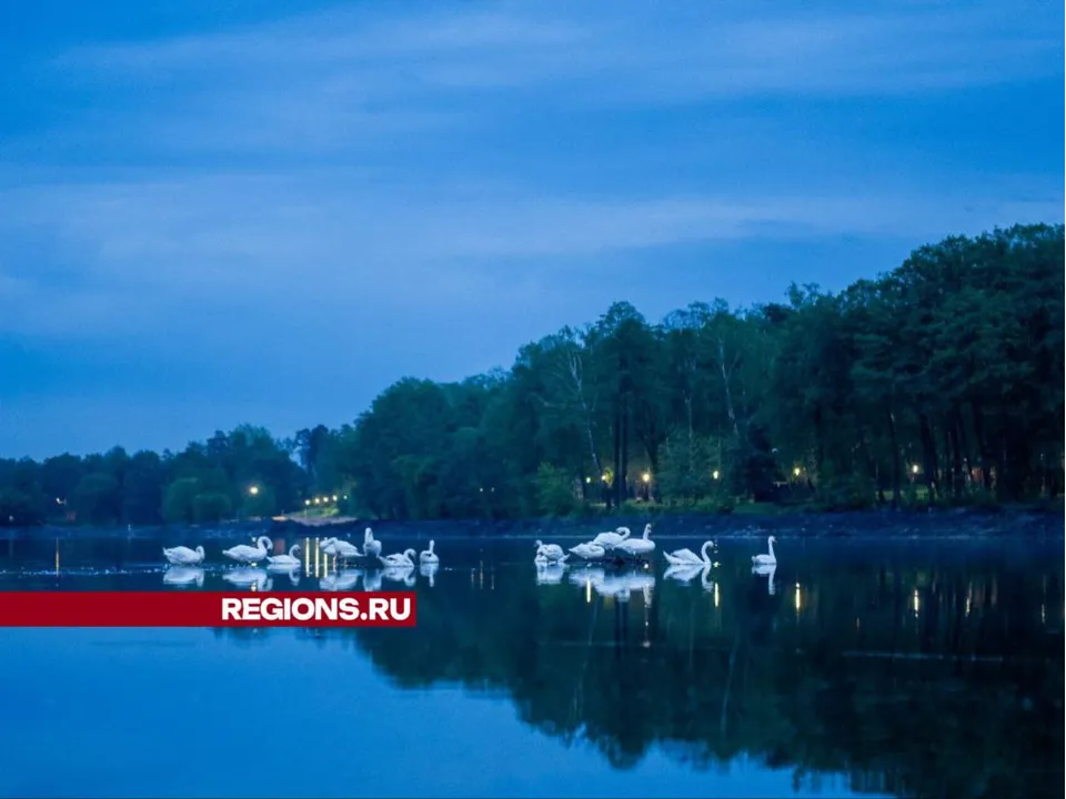 Фото: t.me/malakhovskoe_ozero