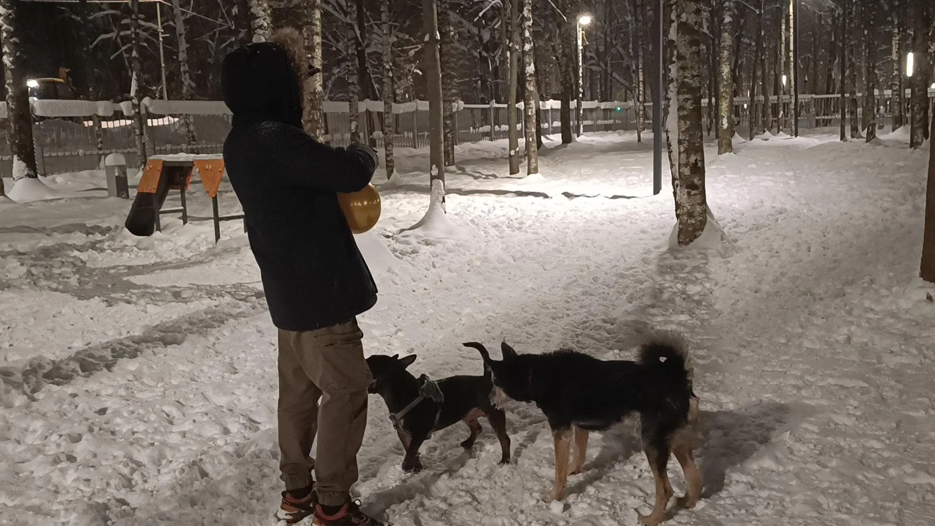 МедиаБанк Подмосковья/Екатерина Федосеева