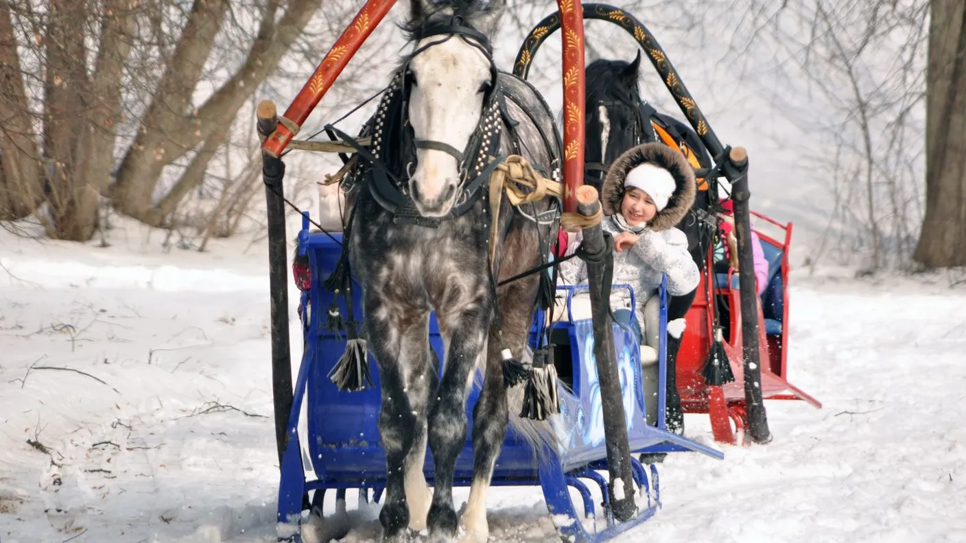 Фото: медиасток.рф