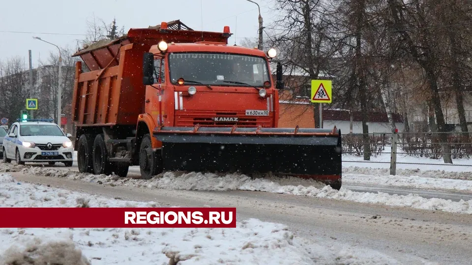 Фото: REGIONS/Василий Тремасов
