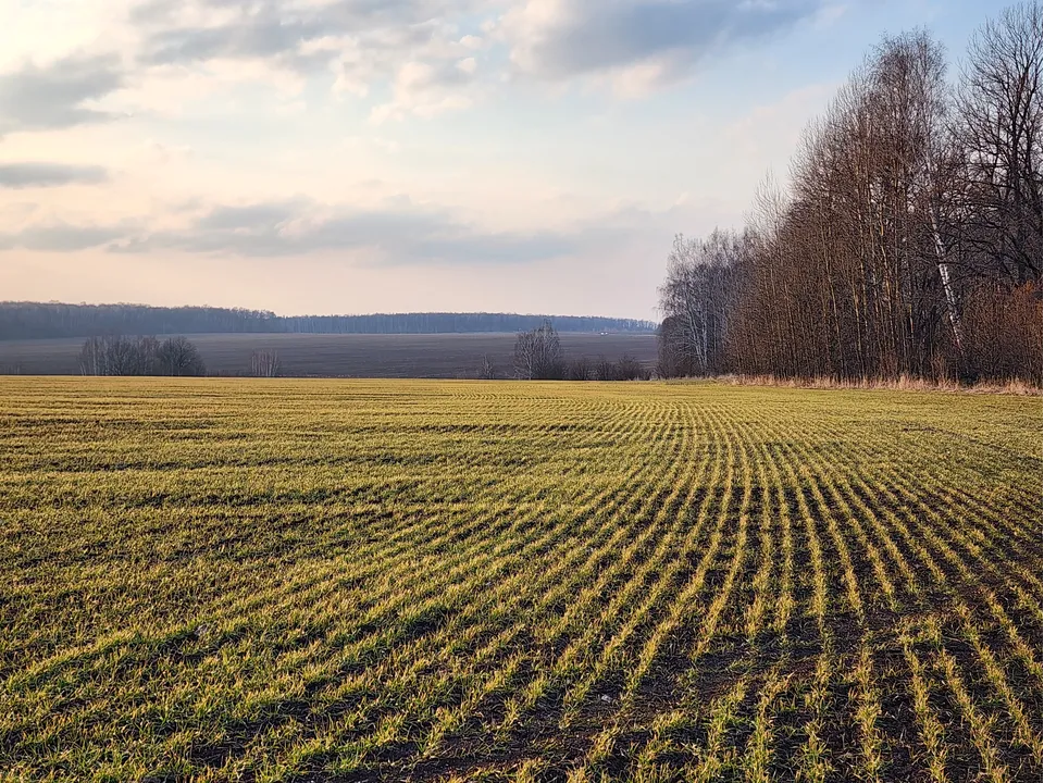 Фото: МедиаБанк Подмосковья/Ирина Матвеева