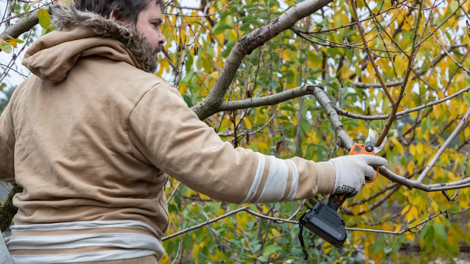 Фото: istockphoto.com/Qwart