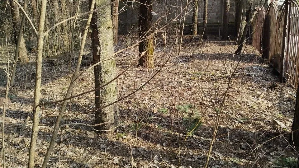 Фото: администрация Одинцовского городского округа