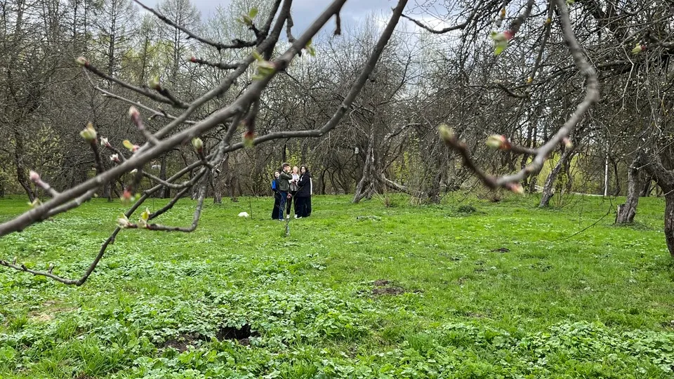 Фото: Медиаархив Подмосковья