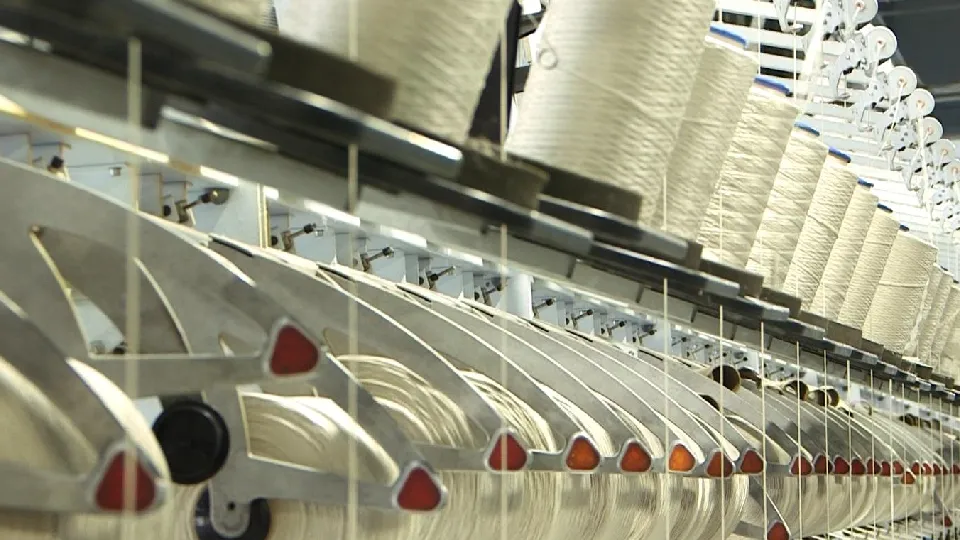 Фото: Евгений Рой