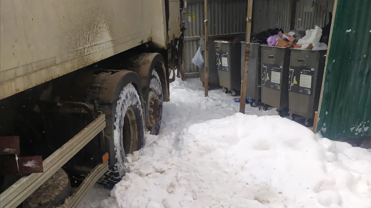 фото: МСК-НТ