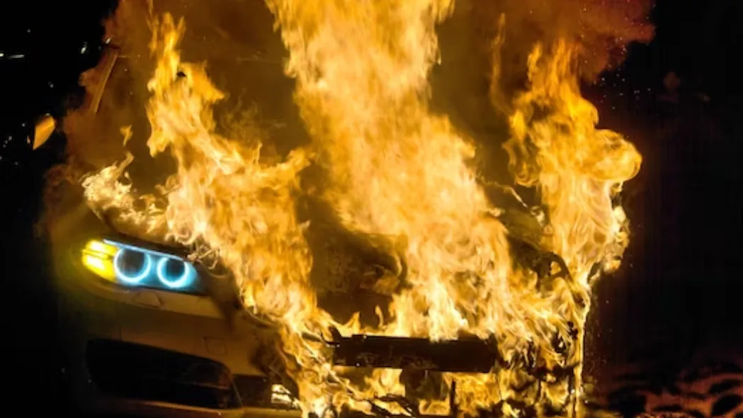 Фото: freepik.com