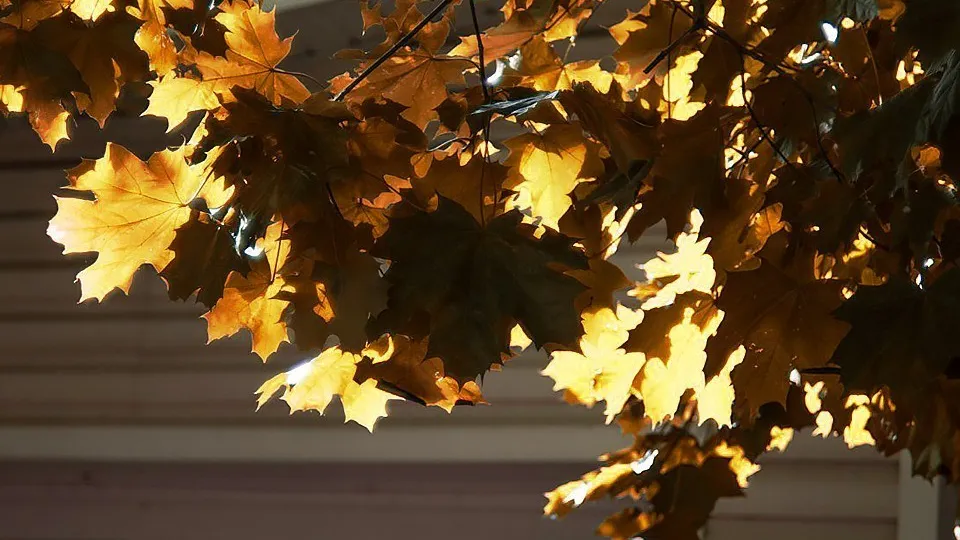 Фото: REGIONS/Наталья Надточая