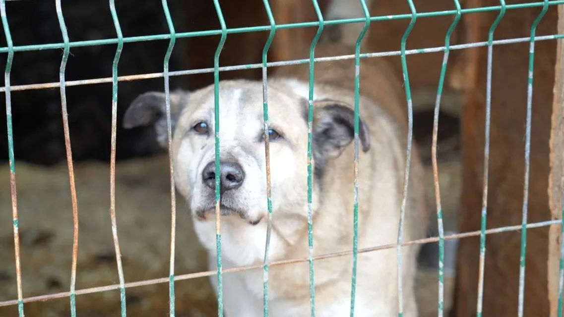 Фото: t.me/OErohanovaSP