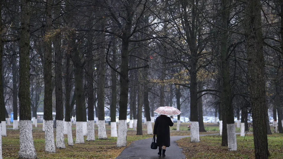 Фото: медиасток.рф