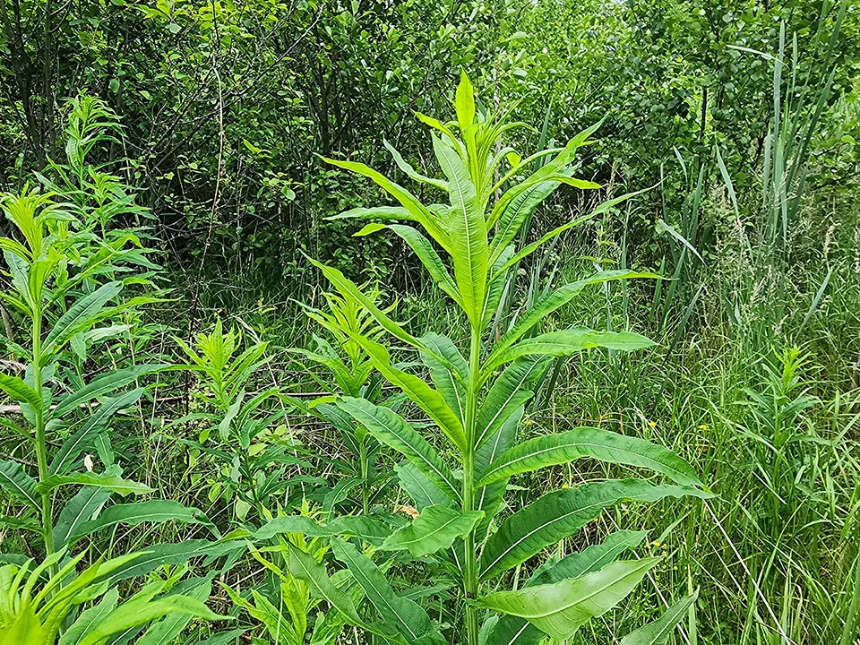 Фото: Михаил Мартыненко