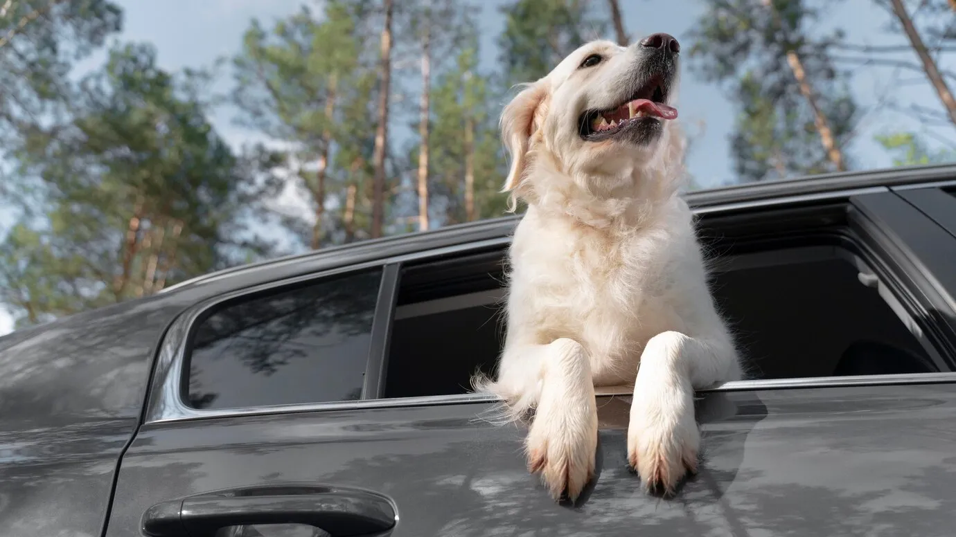 Фото: freepik.com