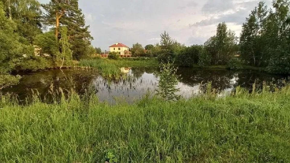 Фото: Министерство экологии и природопользования Московской области